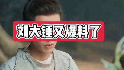 刘大锤爆料古偶视频大全,古偶视频大全，带你穿越时空的浪漫之旅